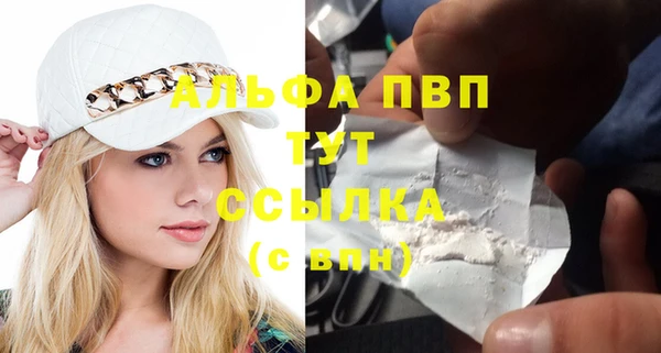 твердый Дмитров
