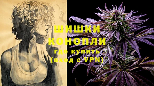 твердый Дмитров